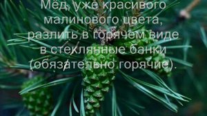 сосновый мёд