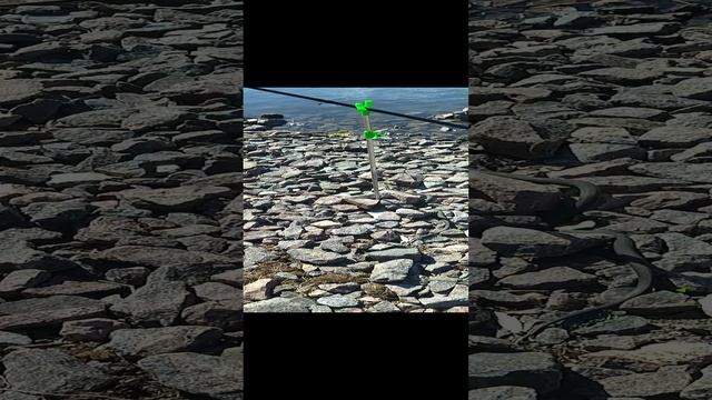 Вот это Червяк. смотреть онлайн