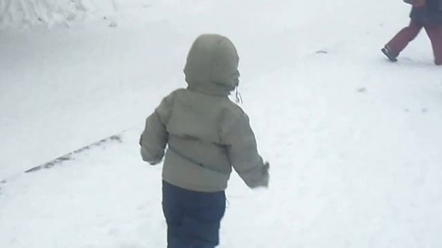 зима 2017 прогулка по Первомайскому скверу в Новосибирске смотреть онлайн