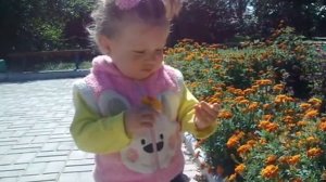 КРАСАВИЦА ПО ИМЕНИ АЛЕНА