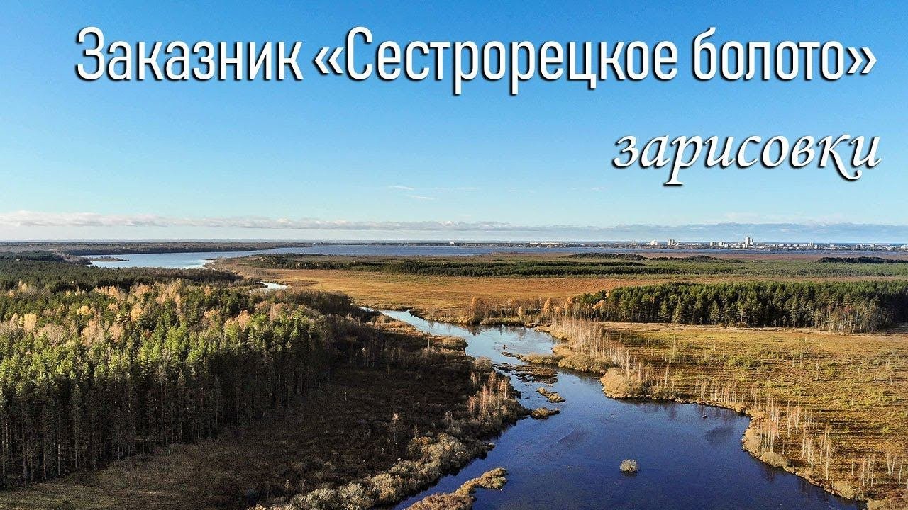 Заказник (ООПТ) "Сестрорецкое болото",  зарисовки, аэросъемка