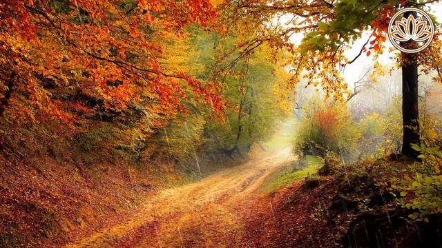 The_noise_of_autumn_rain_in_the_forest,birds_singingШум_осеннего_дождя_в_лесу,пение_птиц.6 смотреть онлайн