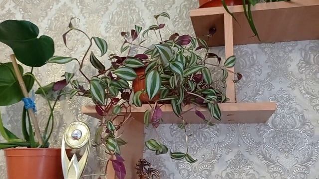 Наш частичный доделанный ремонт в зале желаю хорошего просмотра !!!! смотреть онлайн