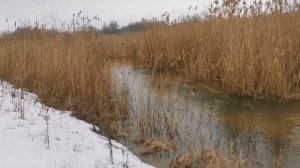 Чертково, р.Меловая, 28.02.2023