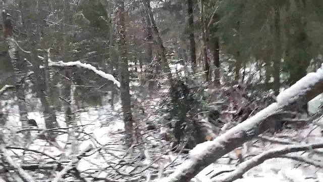 Заготовка дров своими силами. Одна в лесу с бензопилой смотреть онлайн