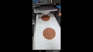 Пищевые технологии. Колбаски гриль без оболочки