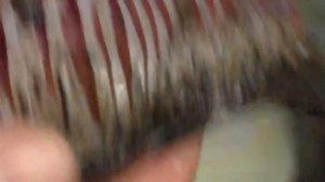 Жареный карась без костей, это просто и очень вкусно! рецепты из рыбы от fisherman dv 27rus. #12.mp4