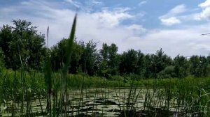 Сплав - река Ворона - 147км - 8-й день