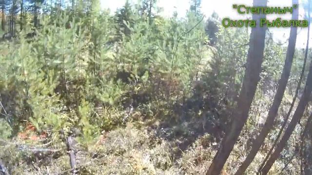 Поездка в тайгу на трицикле (1 часть) 17 09 20 смотреть онлайн