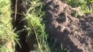 Строю забор из профнастила - разметка