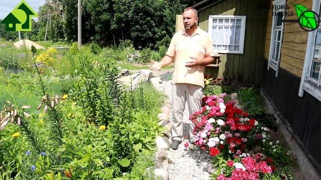 Крутит листья? ЭТО ДОМАШНЕЕ СРЕДСТВО избавит от ВСЕХ вредителей моркови! Экономно и эффективно!