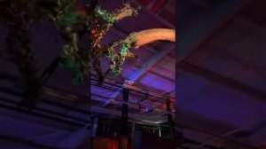 Дино-парк в Сочи для детей | Детский  влог в парке динозавров