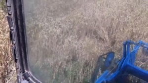Как молотить урожай, урок езды и роботы на комбайне. How to go to the combine harvesters