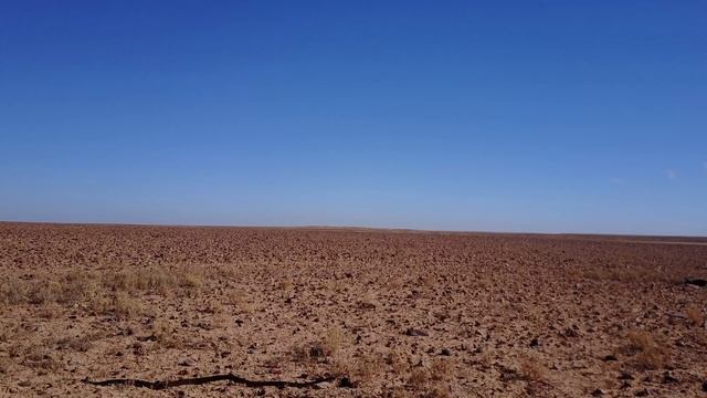 World's most venomous snake the Inland Taipan filmed by drone! смотреть онлайн