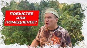 ⚡Побыстрее или помедленнее?? Анекдот для Вас!⚡