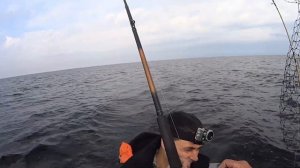 Trolling. Рыбалка троллингом на Ладоге в  сентябре 2018 года.