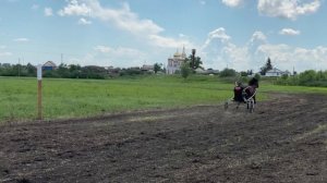 ЛОШАДИ.РЫСАКИ.СКАЧКИ