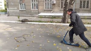 угон самоката с.... помойки)