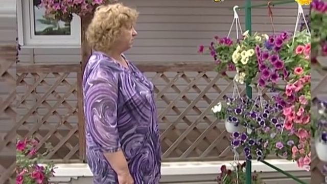 Мобильные цветники из петуний смотреть онлайн