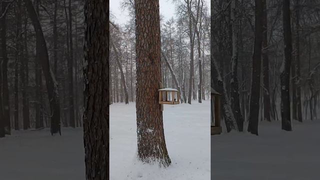 Богородицк - город Тульской области с дворцом