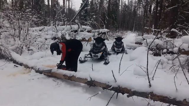 Прокат снегоходов в Подмосковье  SWDrent