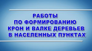 Работы по формированию крон и валке деревьев в населенных пунктах - охрана труда (2024)