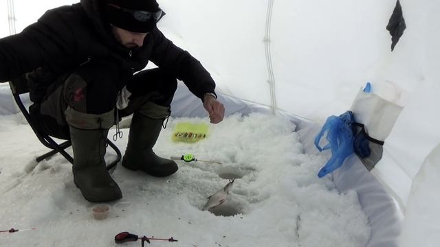 ЩУКА,ОКУНЬ и ОГРОМНАЯ ПЛОТВА\РЫБАЛКА В ЗАПОВЕДНИКЕ\МАРТОВСКИЙ КЛЁВ\ВЕСЕННЯЯ РЫБАЛКА\СУЛТАНКЕЛЬДЫ