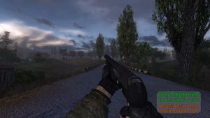 Модель оружия - Тоз-194