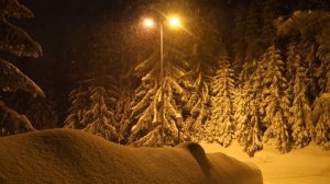 Завалю снегом Агент Смит [ Progressive House]