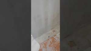 Как шпаклевать стены. "На сдир".