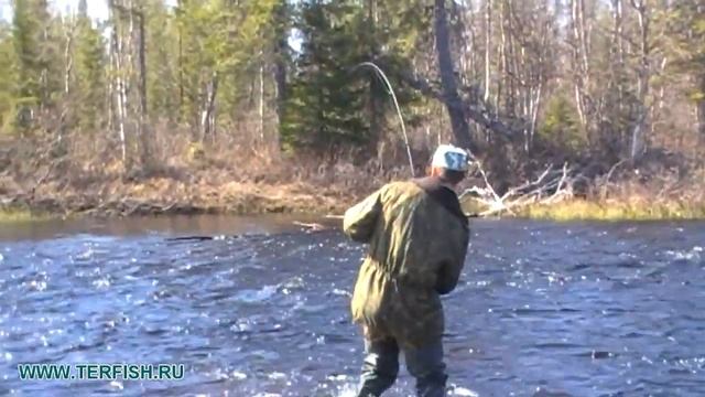 Рыбалка на семгу. Сёмга сорвалась. 2013 год. Рыбалка на Кольском полуострове. Лагерь ТЕРФИШ смотреть онлайн