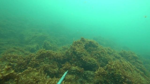 ПО. С моря на море. смотреть онлайн