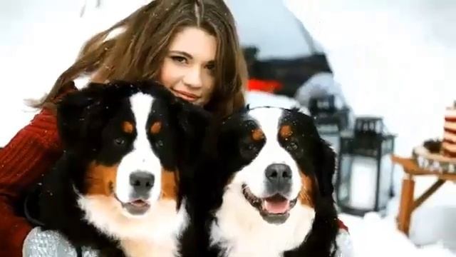 владимир минеев песня встреча в декабре