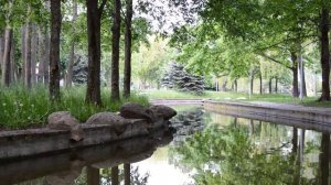 НОЧЬ С ПРОВОДНИЦЕЙ В КУПЕ. Интересные истории из жизни. Любовные истории. Аудио рассказы про любовь