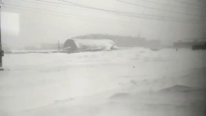 Город мой. Песни про Воркуту. Зачем смазывают рельсы?