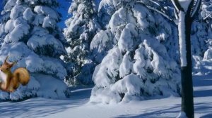 Упражнение "В зимнем лесу" (для глаз - здоровьесберегающие технологии)