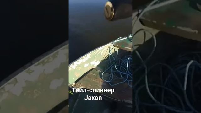 Окунь на тейл-спиннер #fishing #спиннинг смотреть онлайн