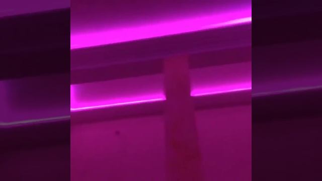 #ваш добрый мастер#подсветка потолка RGB лентой смотреть онлайн