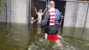 Журналисты спасли от наводнения брошенных пёселей