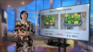 Выращивание ПЕРЦЕВ (от А до Я). Видеолекция