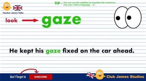 English Synonym Words for LOOK