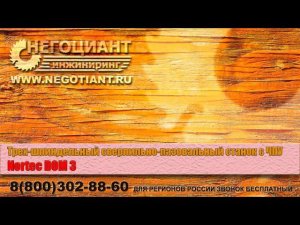 Трех шпиндельный сверлильно пазовальный станок с ЧПУ Nortec DOM 3