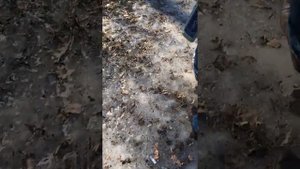 Трассопоисковый комплект Radiodetection rd2000cps supercat и rd2000t1-640