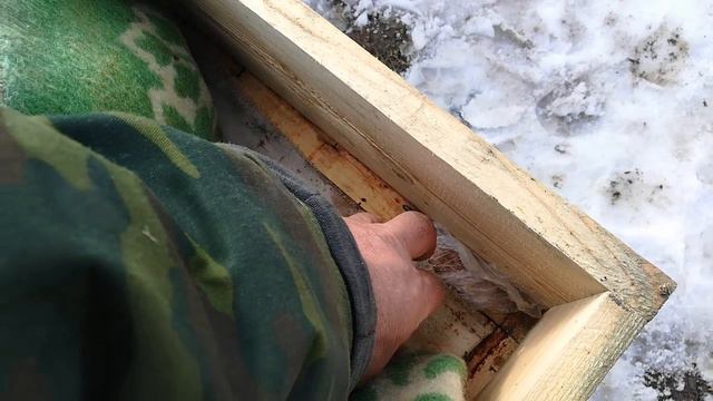 Сибирь, зимовка пчёл на воле, предостережение. Часть4. смотреть онлайн