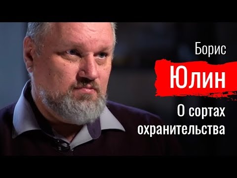 Маски-шоу. Борис Юлин о сортах охранительства // По-живому