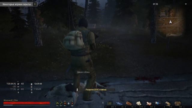 Прохождение Stay Out (Stalker Online) #10 - Поход на Везувий и Мастер с ЛВЗ смотреть онлайн