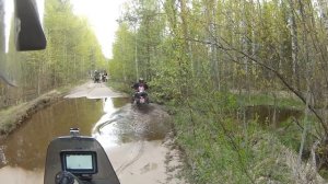 По Мещере на слонах XR250 DRZ400 990Adventure GS650 XTZ900 XRV750 Эндуро с пассажиром