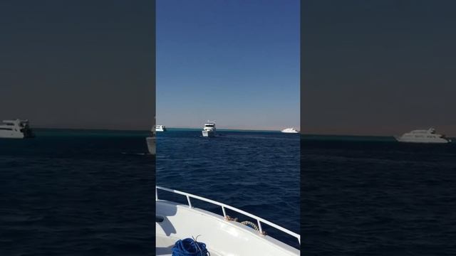 Шарм-эль-Шейх Белый остров смотреть онлайн