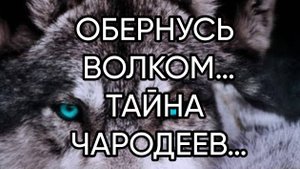 ОБЕРНУСЬ ВОЛКОМ…ТАЙНА ЧАРОДЕЕВ…ДЛЯ ВСЕХ…
