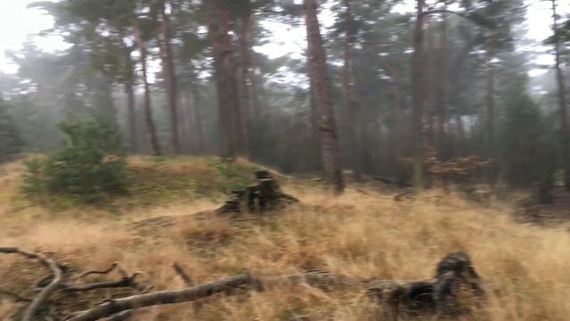 политическое убежище в Нидерландах. Нидерланды дали нам деньги. смотреть онлайн